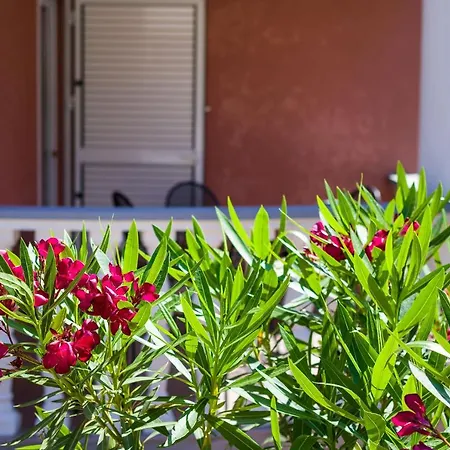Apartmani Luca Zaton (Zadar)